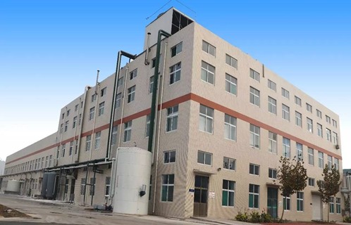 Fructooligosaccharide FOS pemanis rendah kalori untuk sistem pencernaan yang sehat 2