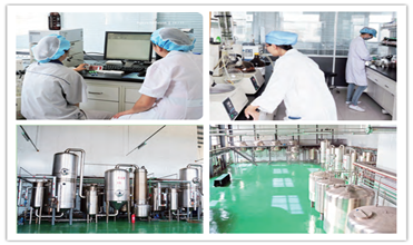 Fructooligosaccharide FOS pemanis rendah kalori untuk sistem pencernaan yang sehat 4